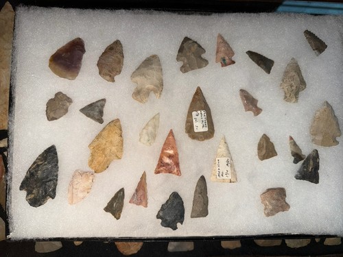 Lot miscellaneous native - miscellaneous,