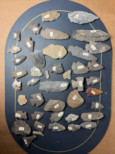Museum collection - museum,