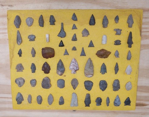 Big lot authentic native - big,