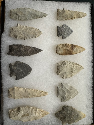 Archaic north carolina - 12,
