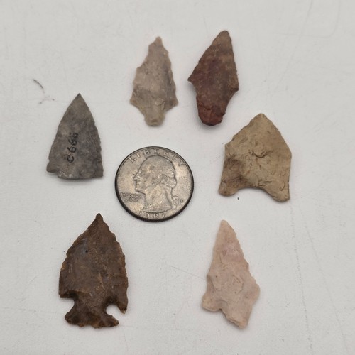 Lot native american 1 - american, 1"