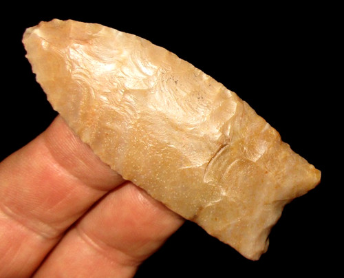 Nice kentucky fluted clovis - nice,