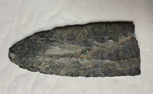 Fluted clovis snapped at - 3",