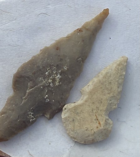 Bird points arrowheads - bird, from