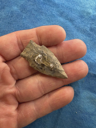 Guaranteed ancient native - ancient,