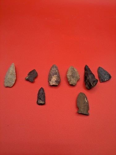 Arrow head lot - head,