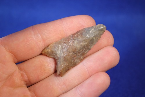 Authentic prehistoric dalton - authentic,