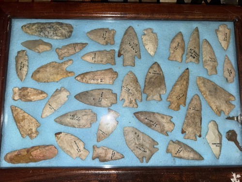 Collection native - collection, 33