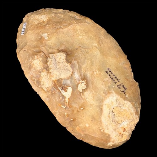Large paleo butcher - large,