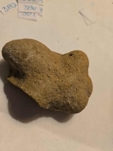 Artifact 377