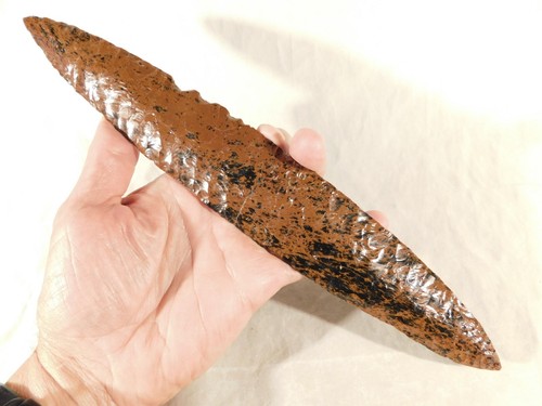 Huge ancient colima mahogany - ancient,