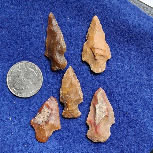 Lot native american - lot,