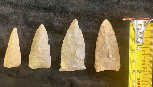 Lot four authentic native - lot,