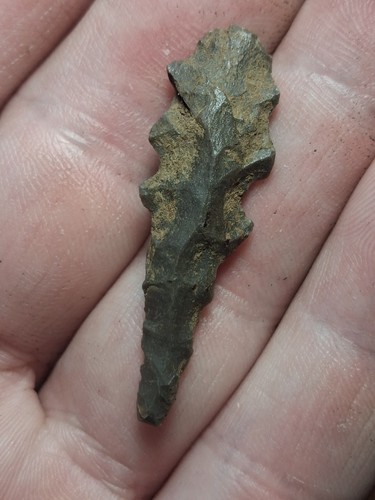 Kentucky serretted micro drill - micro,
