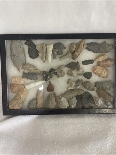 Large collection native - collection, of