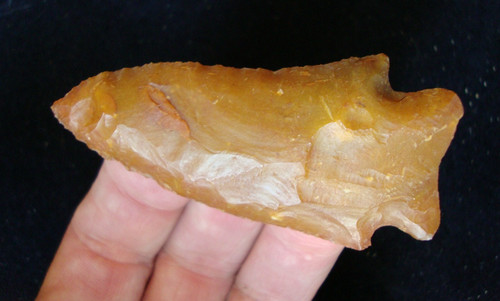 Golden honey kirk lobed - 3/4",