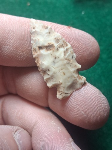 Intact birdie glenco illinois - glenco,,
