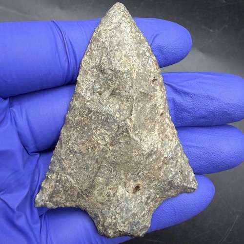 Indian arrowhead marion - arrowhead,