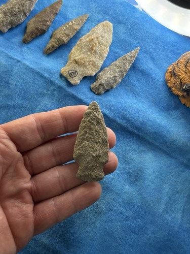 Guaranteed ancient native - guaranteed,