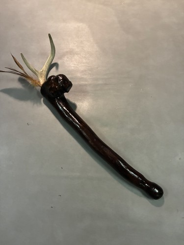 Native american root ball - root,