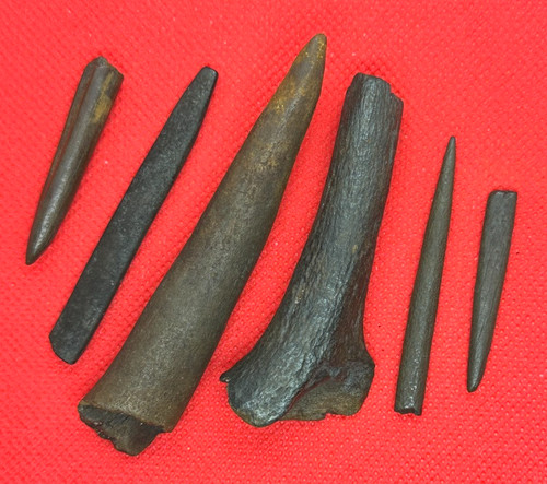 Bone pins florida artifact - bone,