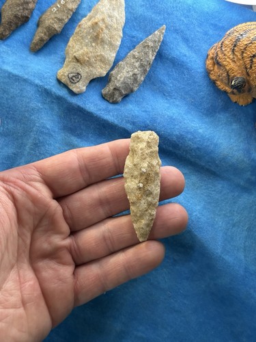 Guaranteed ancient native - ancient,