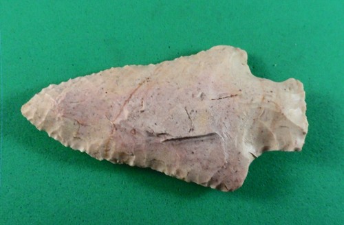 A906 authentic native - authentic,