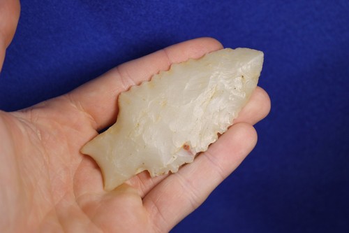 Authentic prehistoric searcy - prehistoric,