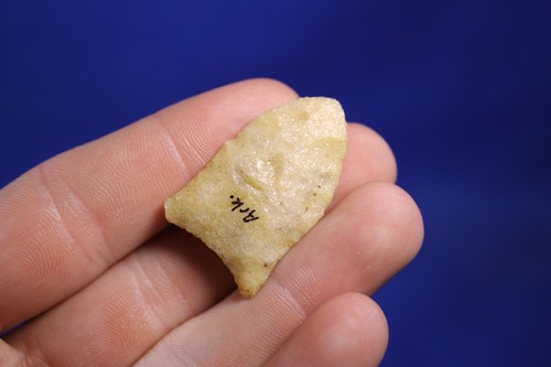Authentic prehistoric - authentic,