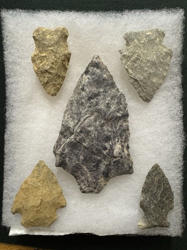 Archaic north carolina - 5,