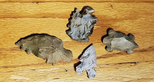 Collection native american - of,