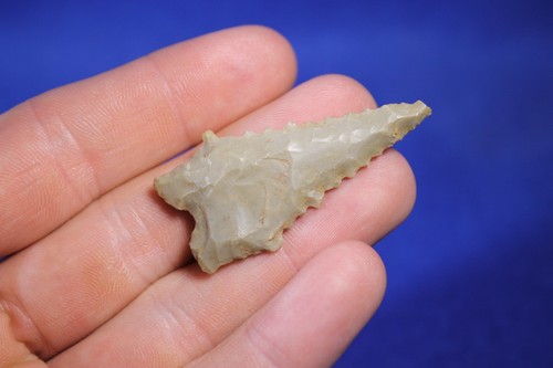 Authentic prehistoric dalton - prehistoric,