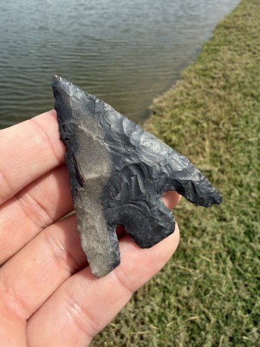 Rare native american basal - rare,