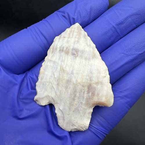 Indian arrowhead florida - indian,