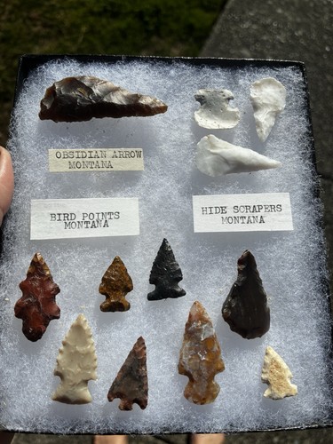 Montana arrowheads bird - -,