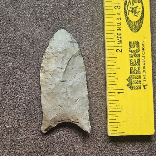 Transitional paleo - 2-3/8",