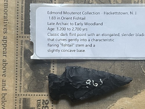 Arrowhead orient fishtail - arrowhead,