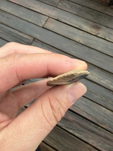 Hardin arrowhead iowa - hardin, ancient